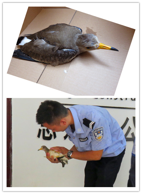 银娱优厚会717(中国)股份有限公司