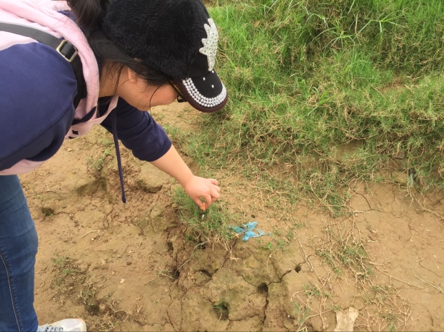 银娱优厚会717(中国)股份有限公司