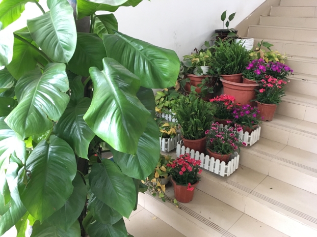 银娱优厚会717(中国)股份有限公司