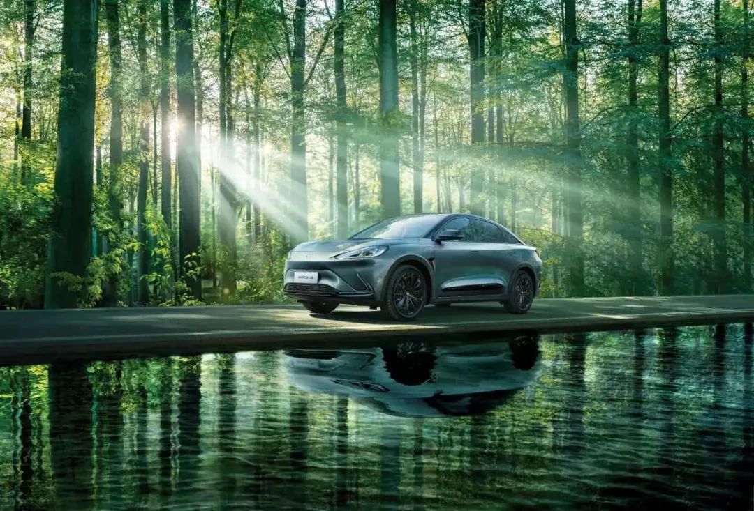 1692081842533346.jpeg 008.jpeg