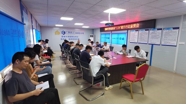 分公司党支部书记、副总经理胡海云深刻牛湾岛项目宣贯《“三力”提升行动》；平ㄊ 摄建图）.jpg