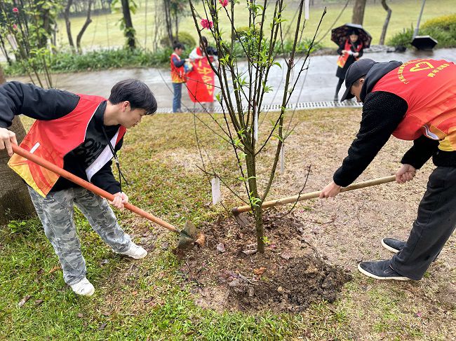 为树苗松土固基。周煜川 摄（建图）.jpg